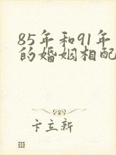 85年和91年的婚姻相配吗封面