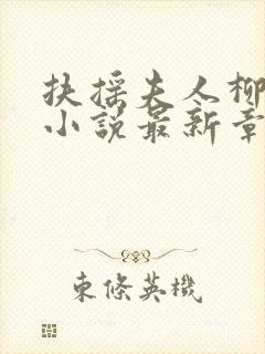 扶摇夫人柳真真小说最新章节更新时间