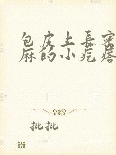 包皮上长密密麻麻的小疙瘩不痛不痒