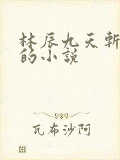 林辰九天斩神诀的小说