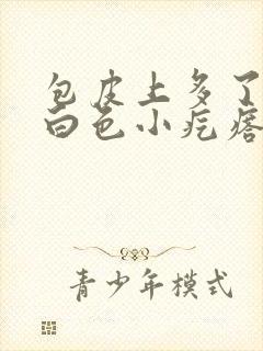 包皮上多了一排白色小疙瘩