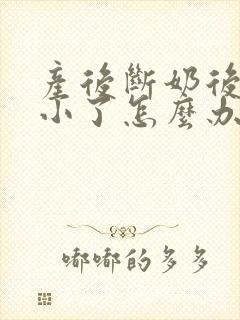 产后断奶后胸变小了怎么办啊封面