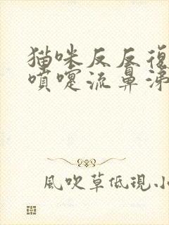 猫咪反反复复打喷嚏流鼻涕