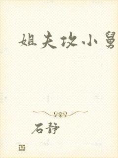 姐夫攻小舅子受