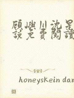 顾屿川沈星遥小说免费阅读最新章节