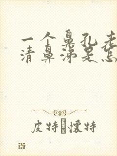 一个鼻孔老是流清鼻涕是怎么回事