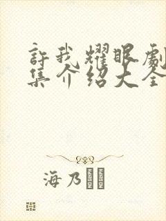 许我耀眼剧情分集介绍大全