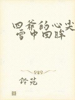 四爷的心尖宠妃 雪中回眸封面