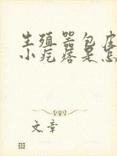 生殖器包皮上有小疙瘩是怎么回事