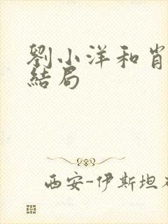 刘小洋和肖娜的结局封面