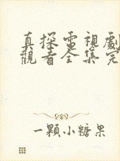 真探电视剧免费观看全集完整版