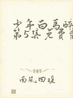 少年白马醉春风第5集免费观看封面