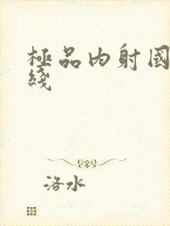 极品内射国产在线