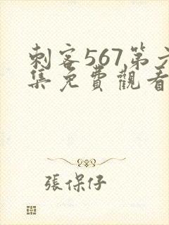 刺客567第六集免费观看