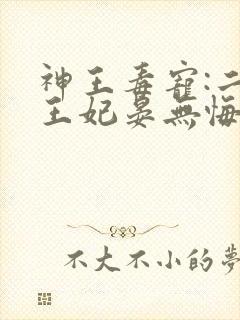 神王毒宠:二嫁王妃晏无悔