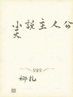 小说主人公叫李天