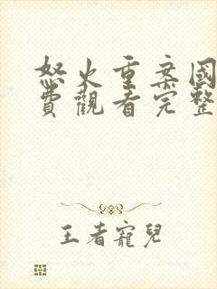 怒火重案国语免费观看完整版电影