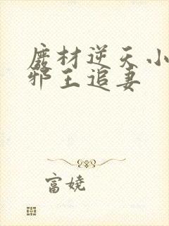 废材逆天小姐之邪王追妻