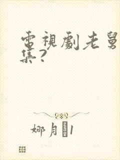 电视剧老舅多少集?