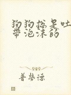 狗狗总是吐黄水带泡沫的