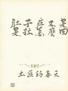 肚子疼又是吐又是拉怎么回事