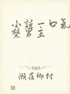 小说一口气看完双男主封面