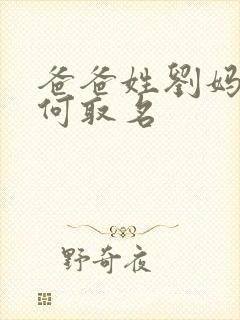 爸爸姓刘妈妈姓何取名