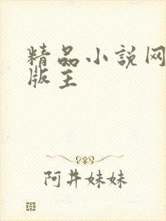 精品小说网第一版主