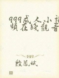 999成人小视频在线观看封面