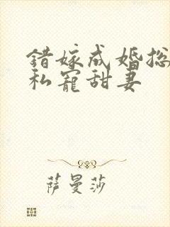 错嫁成婚总裁的私宠甜妻