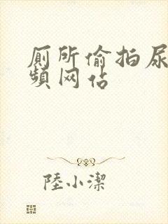 厕所偷拍尿尿视频网站