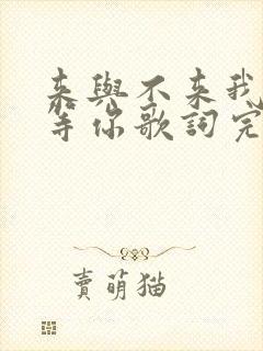 来与不来我都在等你歌词完整版封面