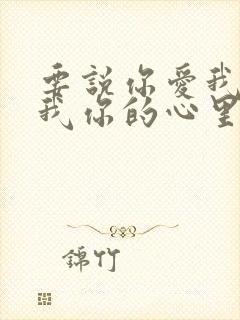 要说你爱我你想我你的心里没有这么做