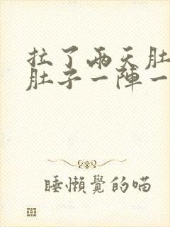 拉了两天肚子了肚子一阵一阵的痛