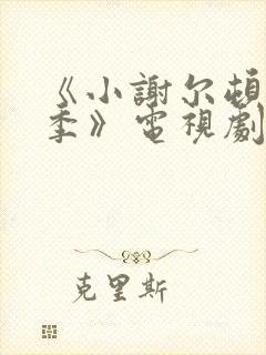 《小谢尔顿第一季》电视剧