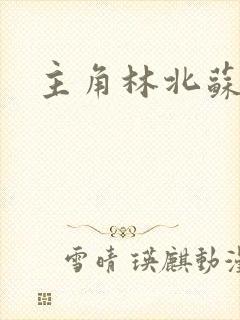 主角林北苏婉