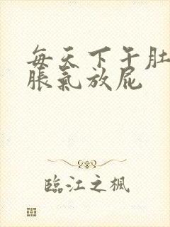 每天下午肚子就胀气放屁