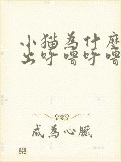 小猫为什么会发出呼噜呼噜的声音