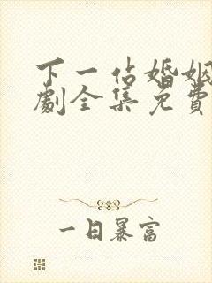 下一站婚姻电视剧全集免费观看高清封面