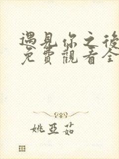 遇见你之后短剧免费观看全集