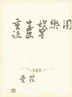 重生娱乐圈之顶流巨星