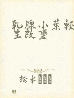 乳腺小叶轻度增生改变封面