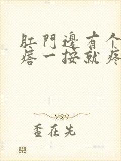 肛门边有个硬疙瘩一按就疼怎么治