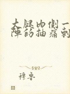 大腿内侧一阵一阵的抽痛刺痛封面