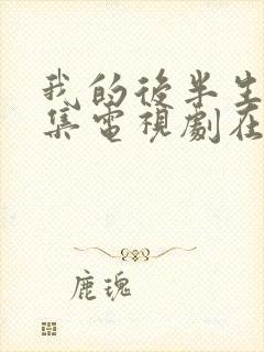 我的后半生42集电视剧在线观看