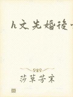 h文先婚后爱封面