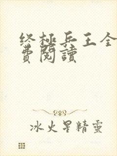 终极兵王全文免费阅读