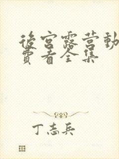 后宫露营动漫免费看全集