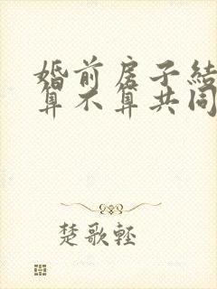 婚前房子结婚后算不算共同财产