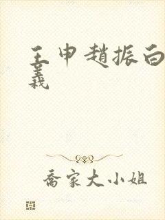 王申赵振白洁高义